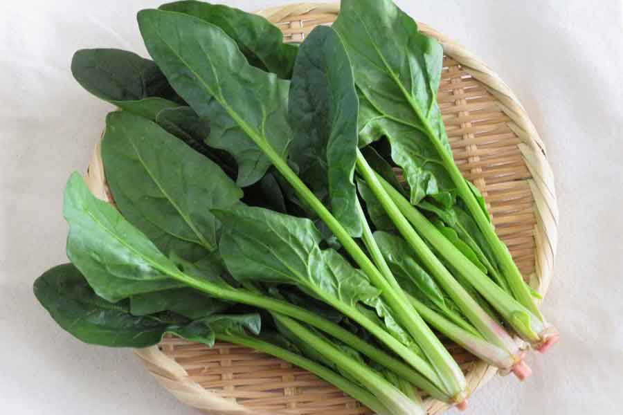 栄養豊富なホウレン草（写真はイメージ）【写真：写真AC】