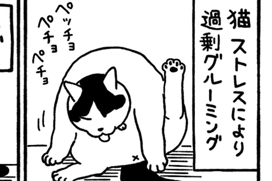 漫画のワンシーン【画像提供：邑田（@murata116）さん】