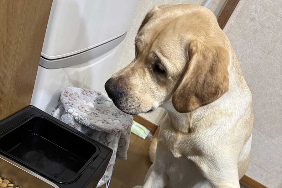 ノアくんが左手で押さえているものとは…【写真提供：ナタリー（@Mary59Noah33）さん】