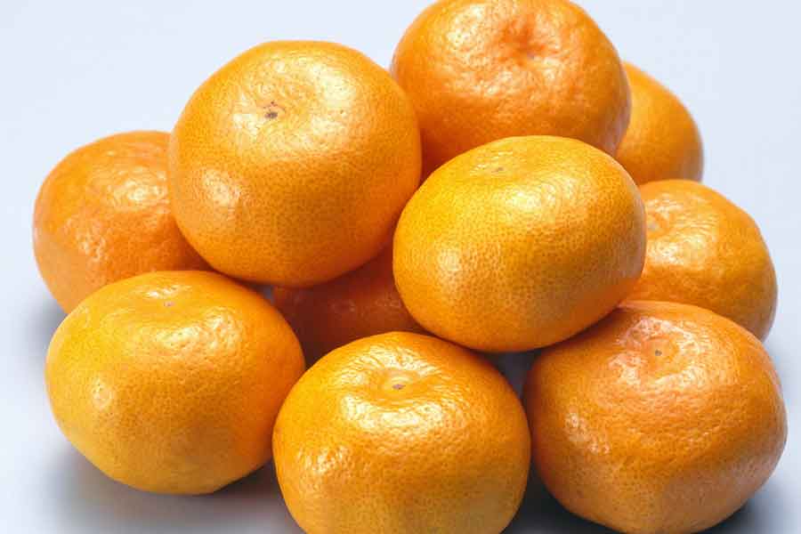 おいしいミカンの見分け方とは（写真はイメージ）【写真：写真AC】