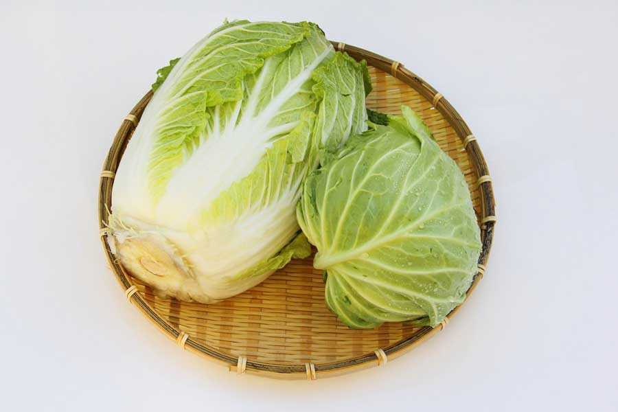 鍋料理など、冬の食卓で大活躍の白菜やキャベツ（写真はイメージ）【写真：写真AC】