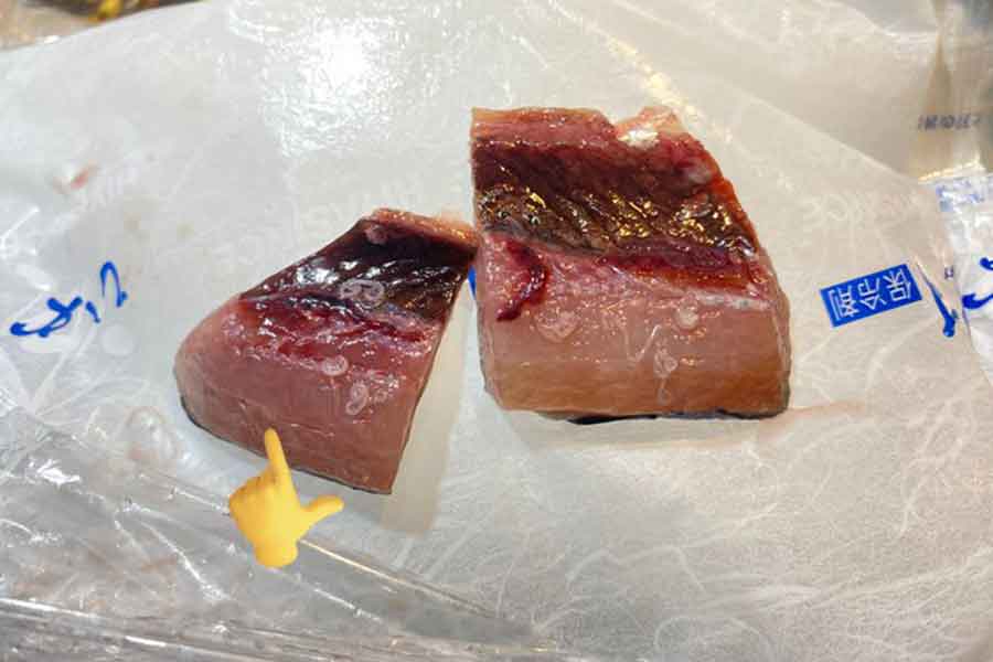 サンマの切り身に元気良く潜り込むアニサキス【写真提供:伊勢シーパラダイス】