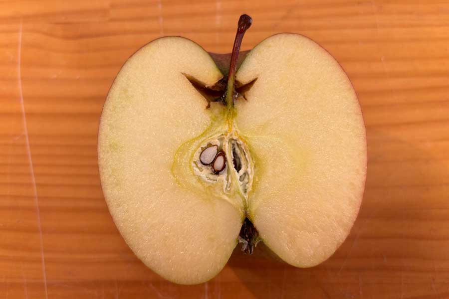 断面を見ると、軸の部分から実にかけて傷みが【写真提供:王将果樹園の中の人(@ohsyoshop)さん】