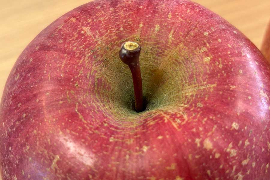 一見すると、なんの変哲もないリンゴ。プロは軸の部分に注目【写真提供:王将果樹園の中の人(@ohsyoshop)さん】