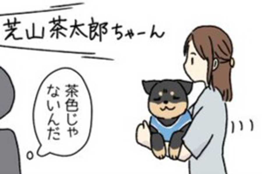 漫画のワンシーン【画像提供:南兎(@sud_lapin2987)さん】