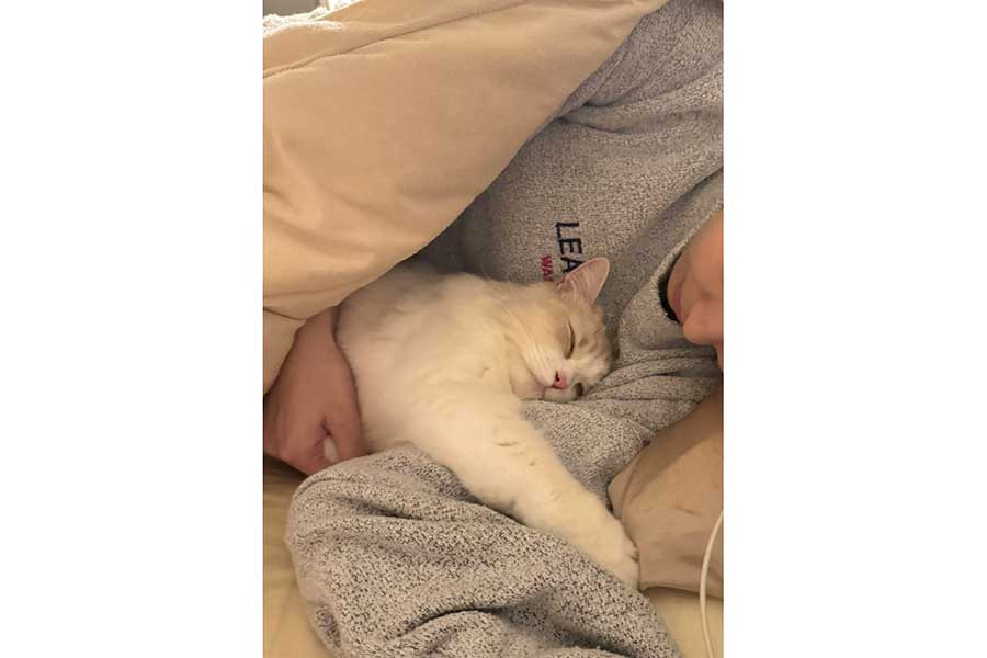 子どものように甘えて眠るもなかくん【写真提供：を子（@sui_mona）さん】