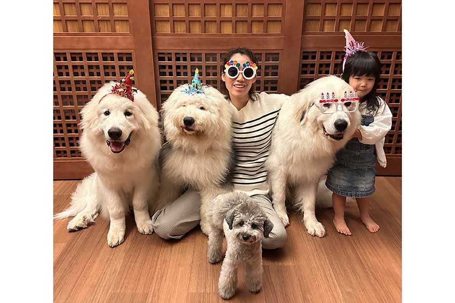 誕生日を祝う(左から)ぼんぼんくん、むぅむぅくん、ビビちゃん、シュシュちゃん。そばには飼い主さんの配偶者さんと娘さんも【写真提供:山の奥から(@yamanookukara)さん】