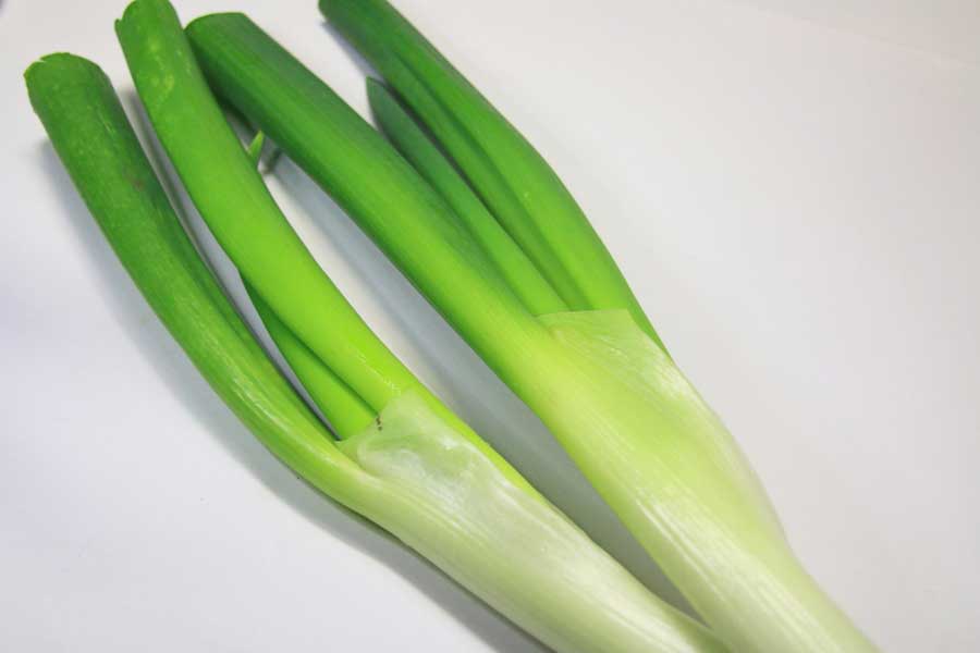 長ネギの緑色の部分からヌルッとした液体が…（写真はイメージ）【写真：PIXTA】