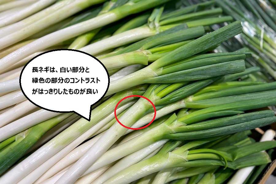 白と緑のコントラストがはっきりした長ネギが良い。はっきりしないものは選ばない（画像はイメージ）【画像：写真ACよりHint-Pot編集部作成】