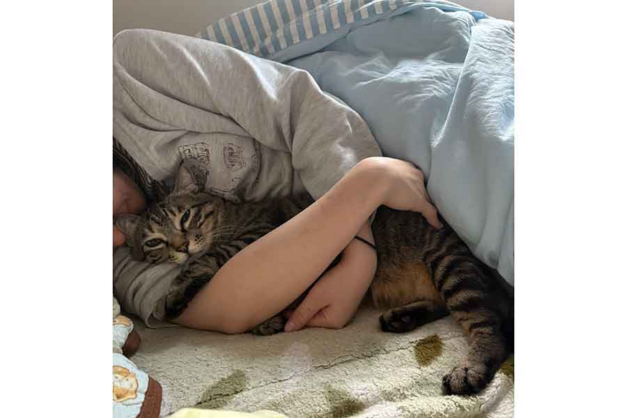 配偶者さんとつむぎくんの“浮気現場”【写真提供:すずつむふう【我が家の可愛い猫's】(@kagisuzu0531)さん】