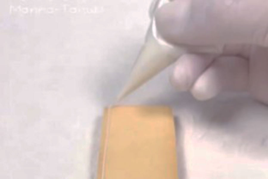 製作途中のクッキー（スクリーンショット）