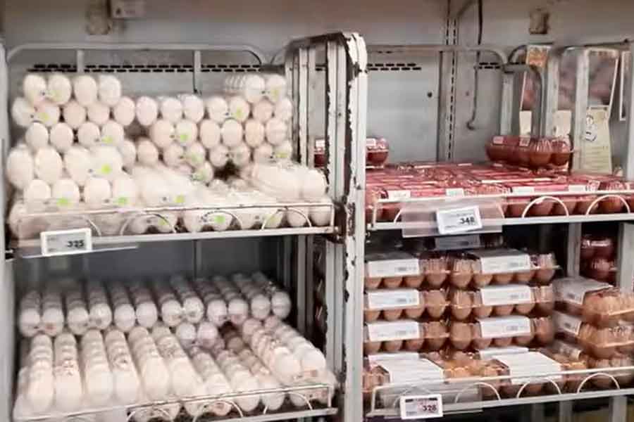 日本の卵の価格に衝撃（スクリーンショット）