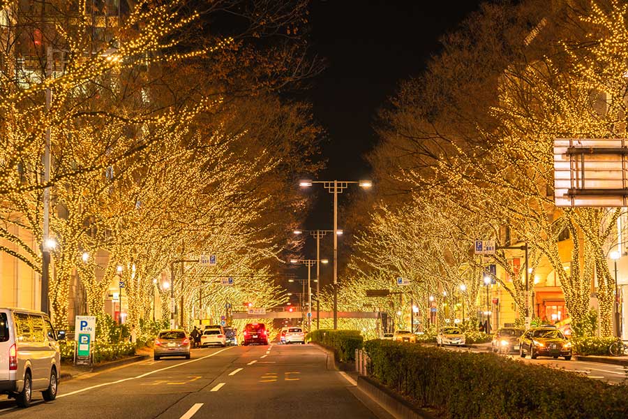 東京・表参道のイルミネーション【写真：PIXTA】