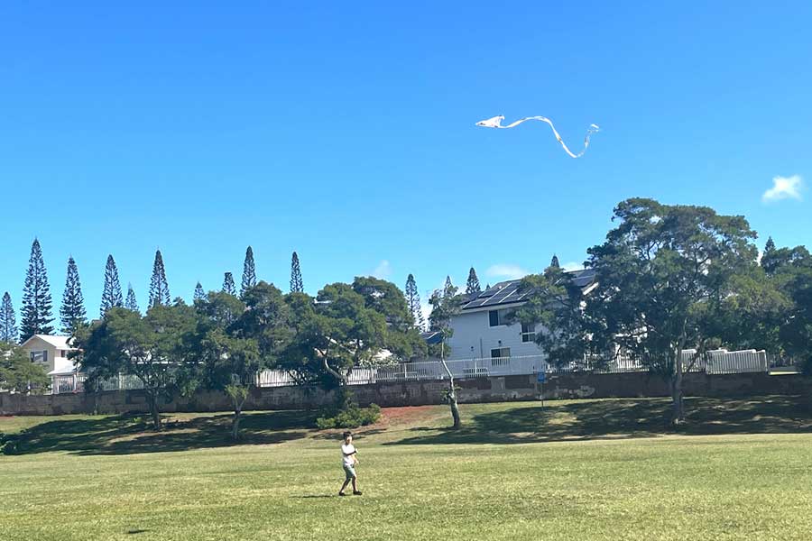 昨年、我が子がハマったカイト。ハワイに日系人は多いが、正月に凧揚げをする文化はない【写真：i-know】