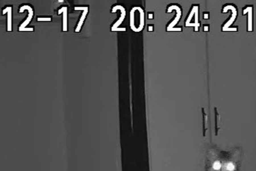 ペットカメラで撮影された映像【写真提供:大島 淳之 / Atsuyuki Ohshima(@atyk12)さん】