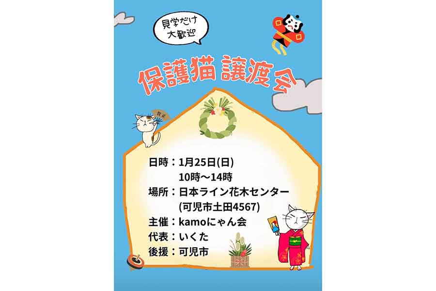 保護猫譲渡会を開催【写真提供：きなこまみれ　kinako mamire（@kinako_mamire）さん】