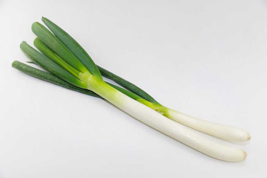旬の長ネギ（写真はイメージ）【写真：写真AC】
