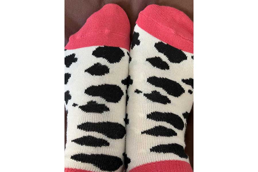 牛柄の靴下をはいた投稿者さん【写真提供：げきつよです（@kometonakamano）さん】