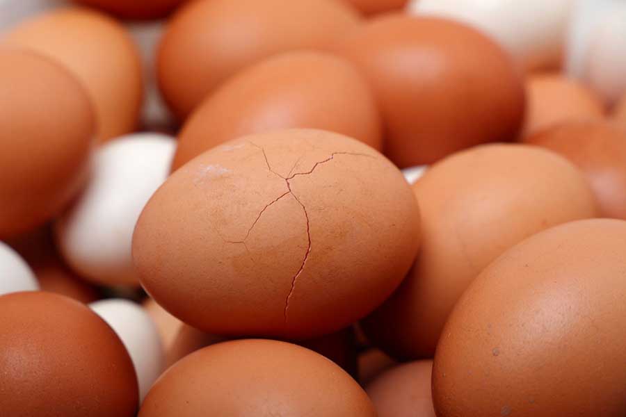 卵の殻にひびが入ると細菌が侵入するリスクも（写真はイメージ）【写真：写真AC】