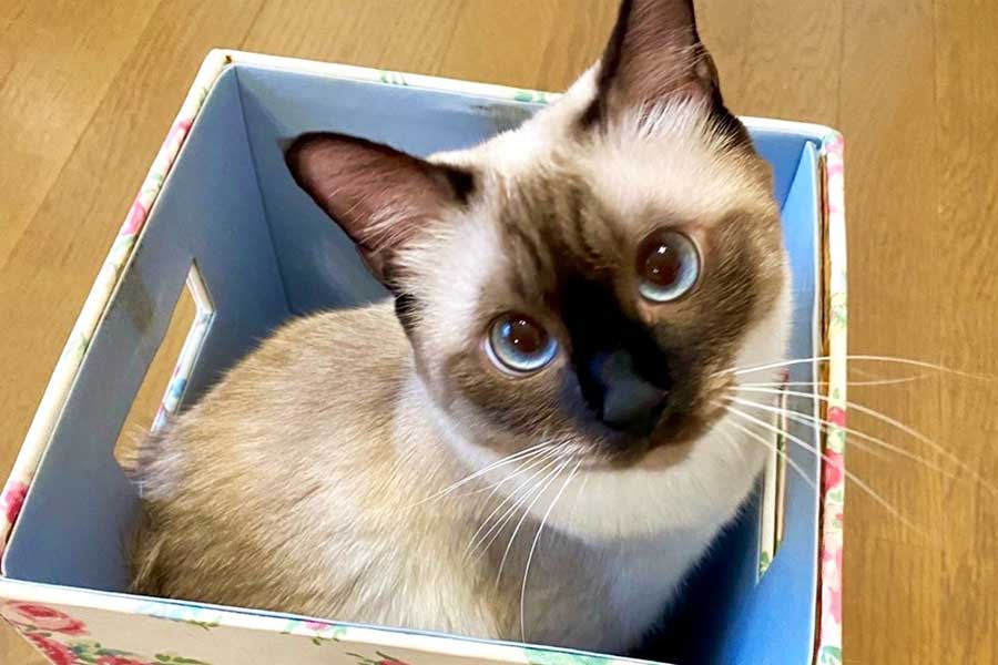 幼い頃のなみちゃん【写真提供：ソレイユ（@Oa1Un）さん】