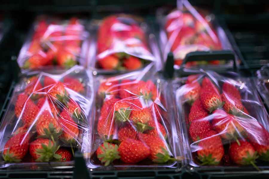 パック詰めされたきれいな形のイチゴ（写真はイメージ）【写真：PIXTA】