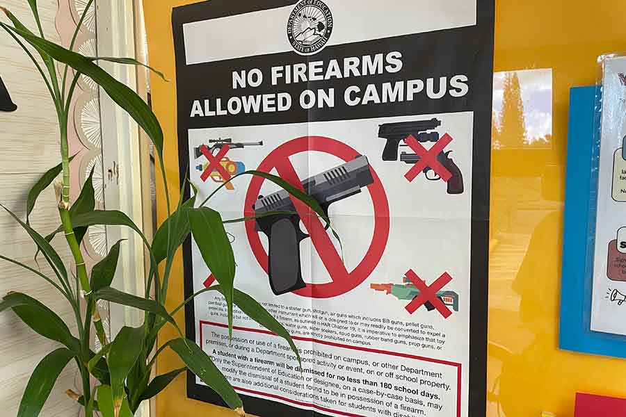 学校に貼られている「銃の校内持ち込み禁止」ポスター。公共図書館の入口などにも貼られている【写真：i-know】