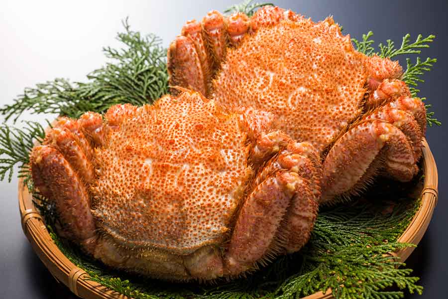 旬を迎えている毛ガニ【写真:PIXTA】