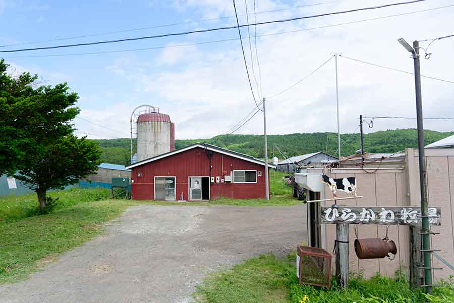 現在坂本さんが働くひらかわ牧場【写真：及川雅夫】