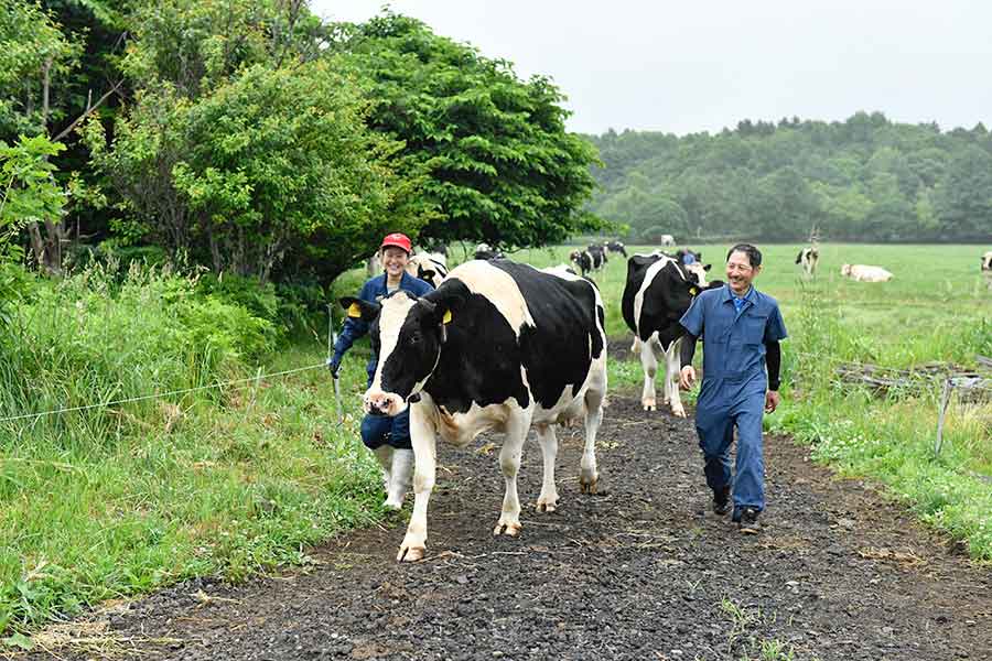 ひらかわ牧場で尊敬する社長とともに働く坂本さん【写真：及川雅夫】