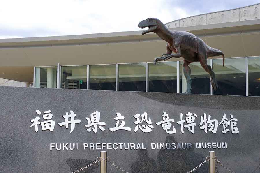観光客に人気の福井県立恐竜博物館【写真：PIXTA】