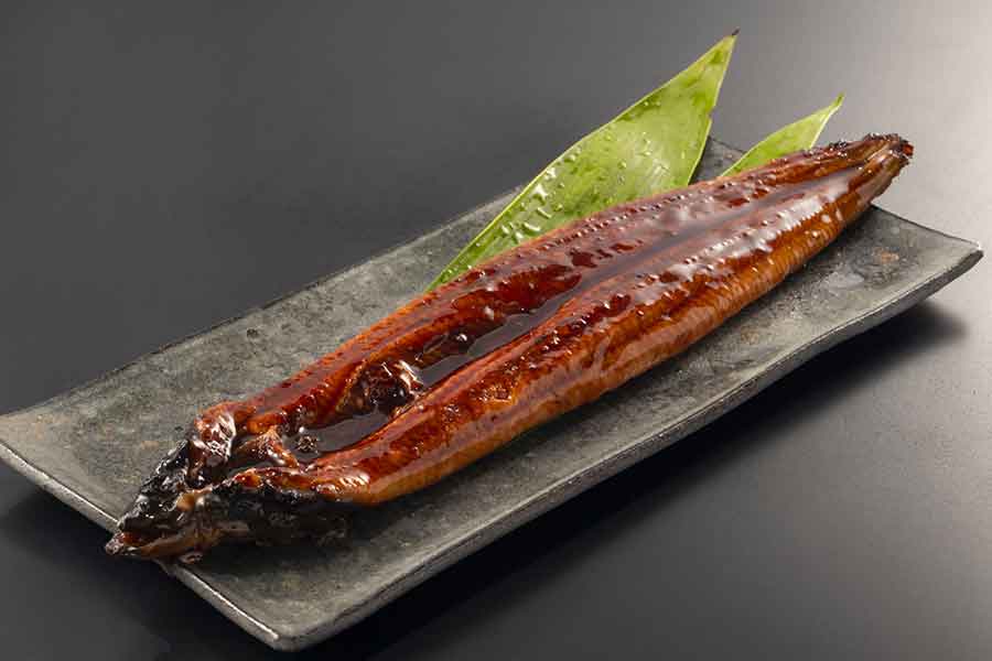 初めて食べたウナギはおいしかった（写真はイメージ）【写真：写真AC】