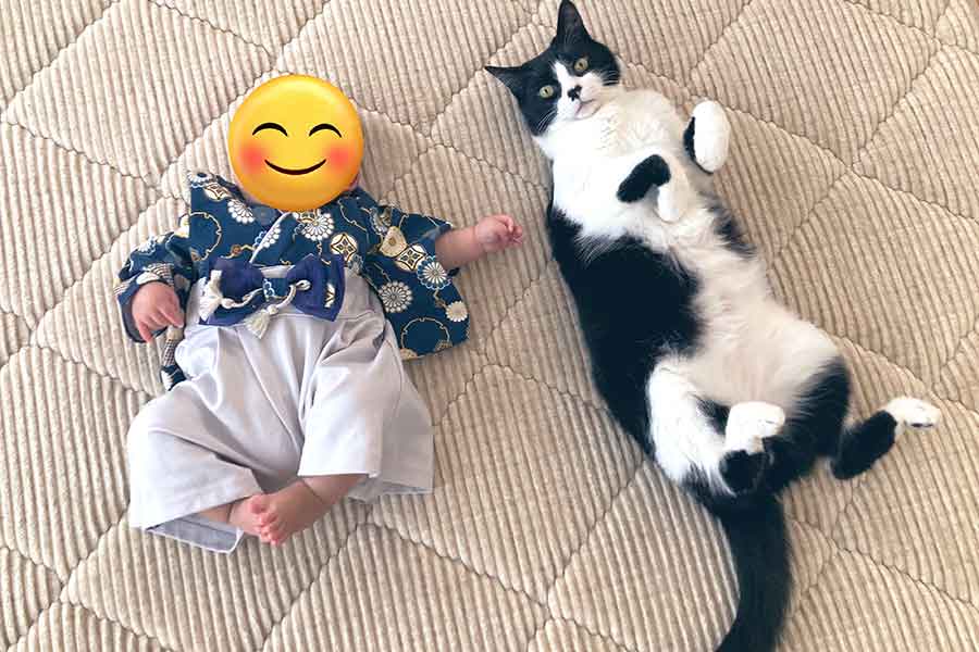 仲良く寝そべる息子さんと義勇くん【写真提供:iwa(@nekosuki1121)さん】