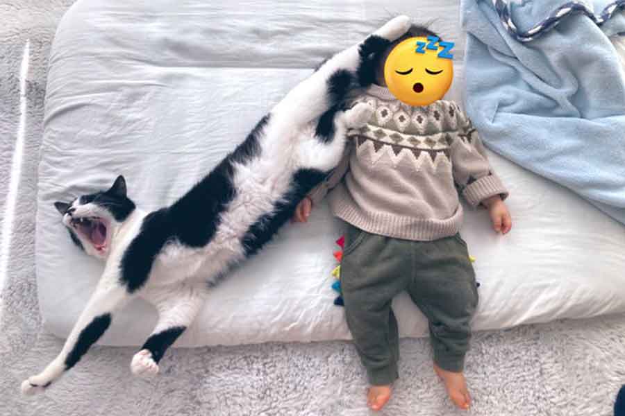 すやすや眠る息子さんと独特な添い寝をする義勇くん【写真提供:iwa(@nekosuki1121)さん】