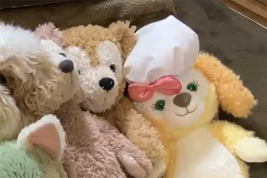 ふわふわしたぬいぐるみの中に隠れていたのは…!?【出典：X（@ha_cchi_mi）よりスクリーンショット】