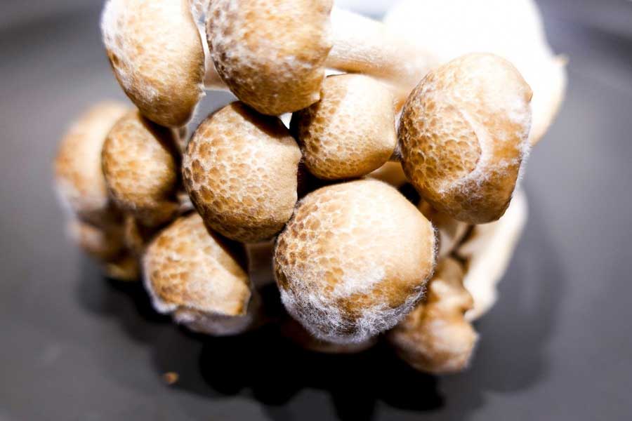 写真はイメージ【写真：写真AC】