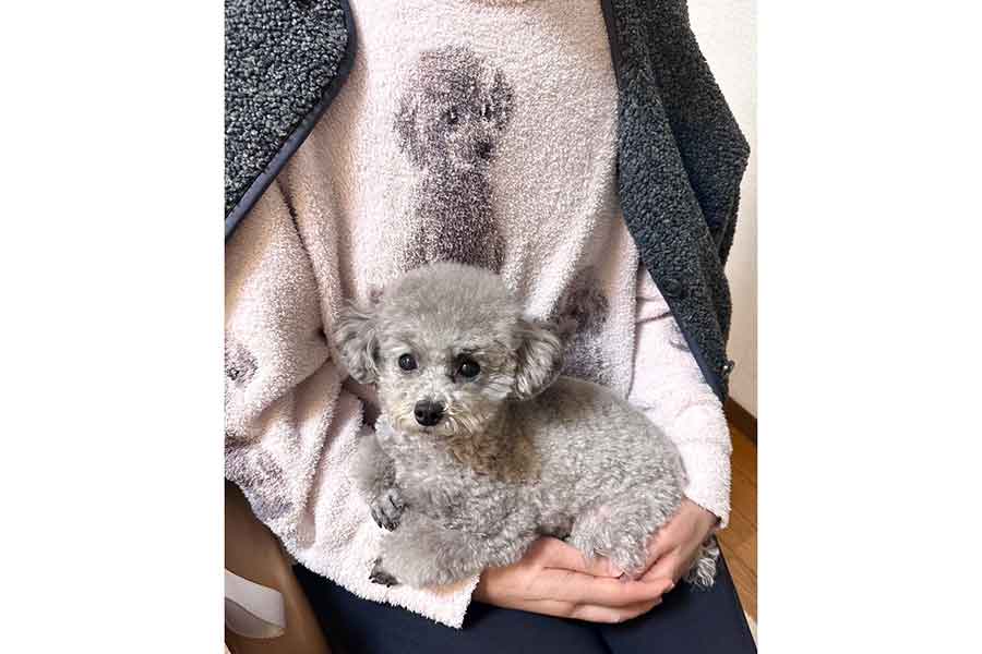 まるでエマちゃんが幽体離脱したかのよう【出典：X（@Emmarinko）よりスクリーンショット】