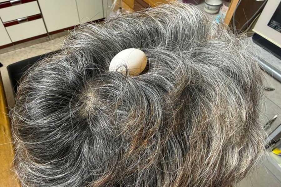 お父さんの頭の上には真っ白な卵が…!【写真提供:ぽぅぽぅのいる世界(@popoko0501)さん】