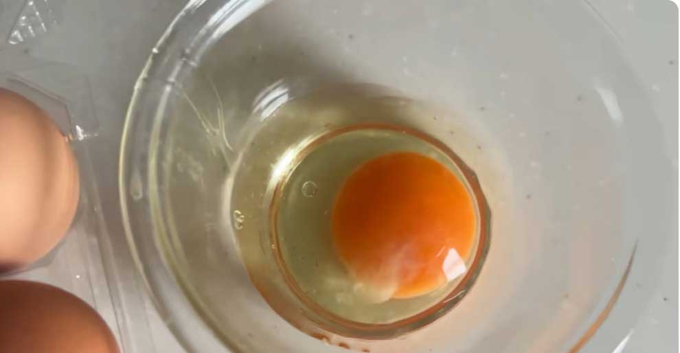 日本の卵の質に感動【出典：YouTubeチャンネル「Jason Ray ジェイソン・レイ」よりスクリーンショット】