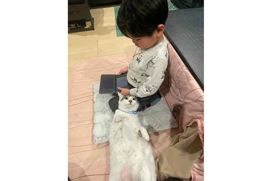 “へそ天”でアピールするロイくん【写真提供：ゴンゾウR4（@R453374510）さん】