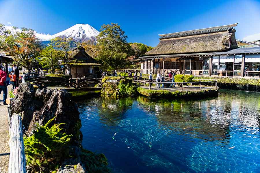 美しい池が広がる忍野八海【写真：PIXTA】