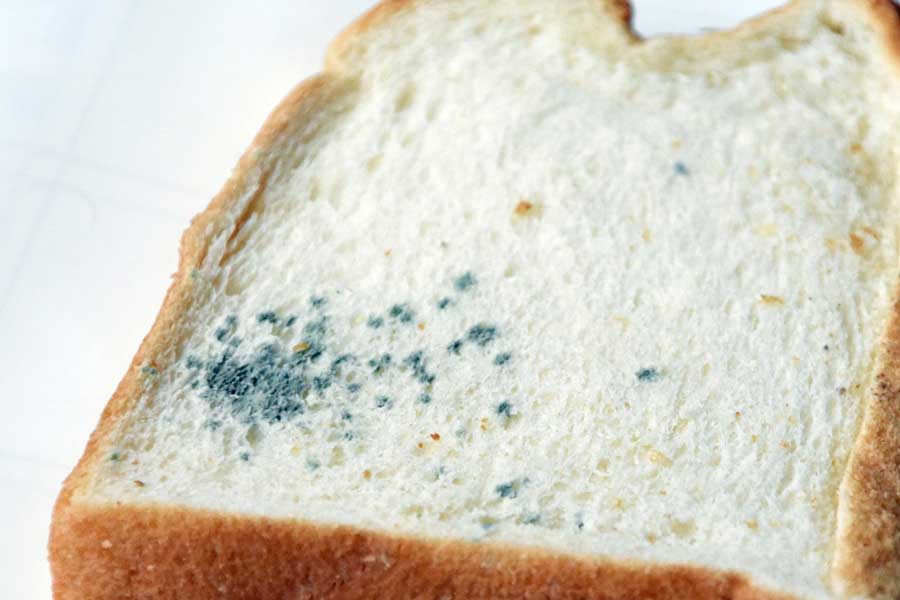 カビが生えてしまった食パン（写真はイメージ）【写真：写真AC】