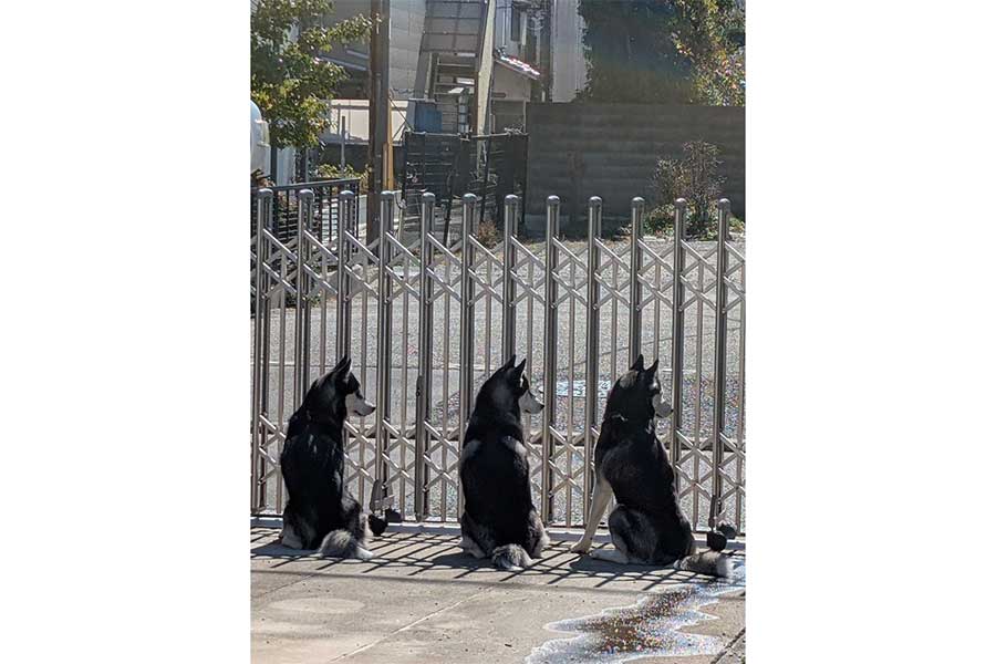 話題になった一枚【写真提供：okspecialmuseum（@okspecialmuseum）さん】