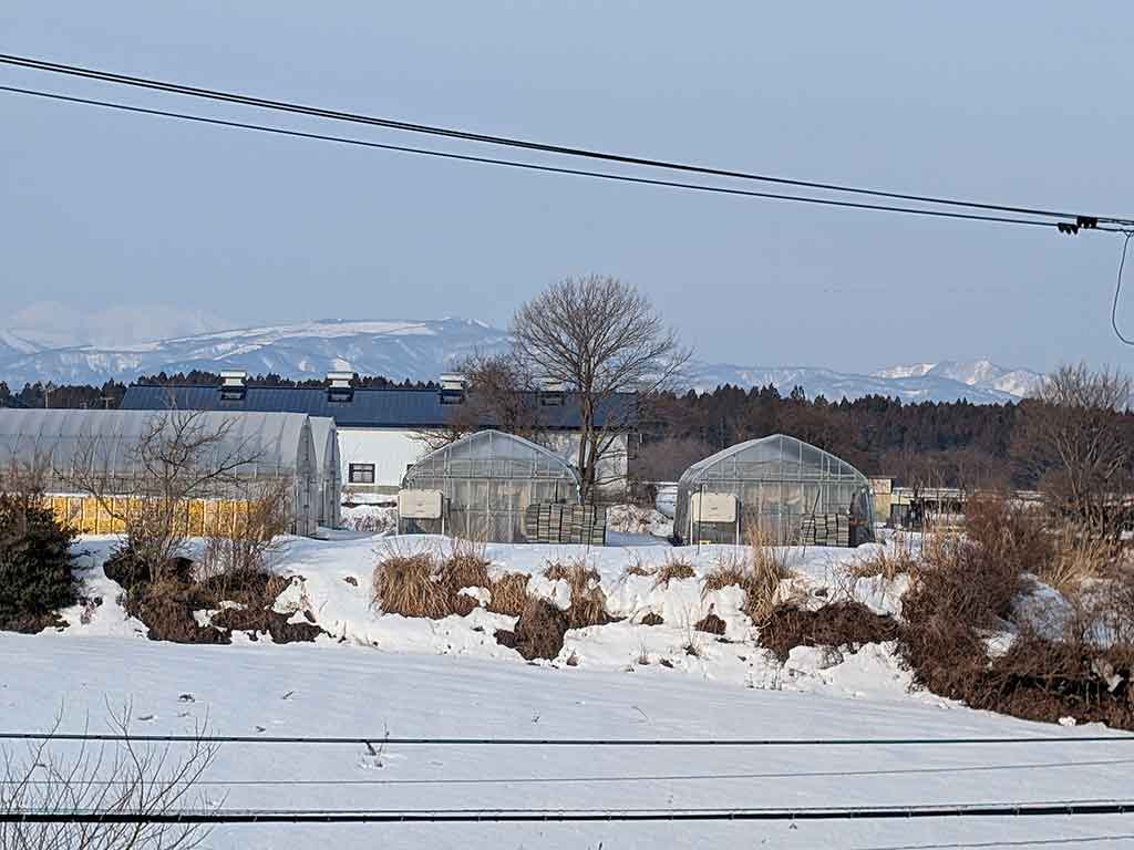 雪景色が広がる青森県【写真提供：津軽あむ（@kCDR0sMOoEiPNm5）さん】