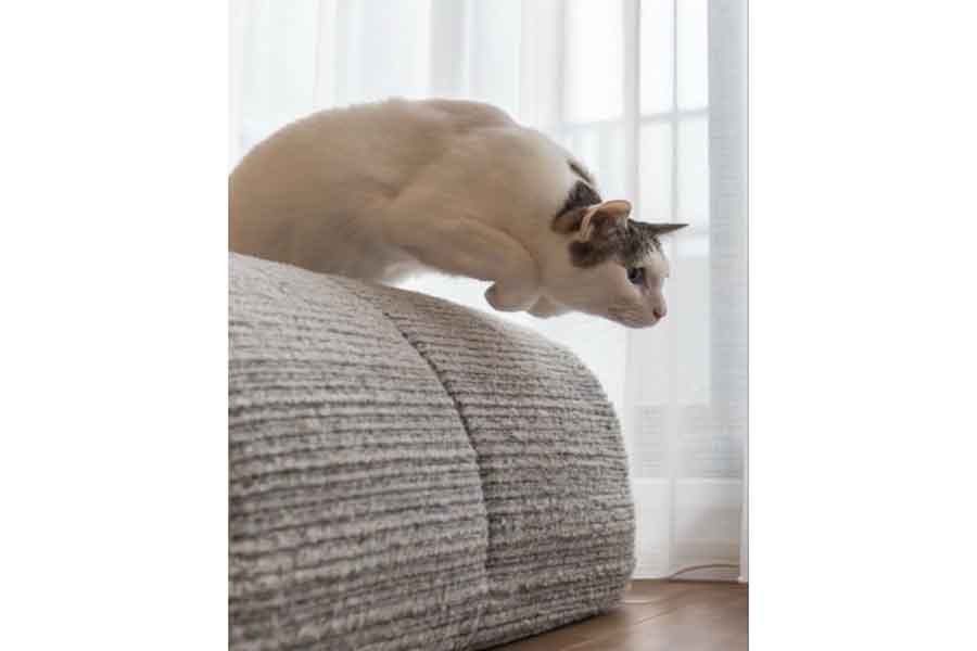 見事な姿勢で飛行するジンくん【写真提供:小野一俊(@kazutoshi_ono_)さん】