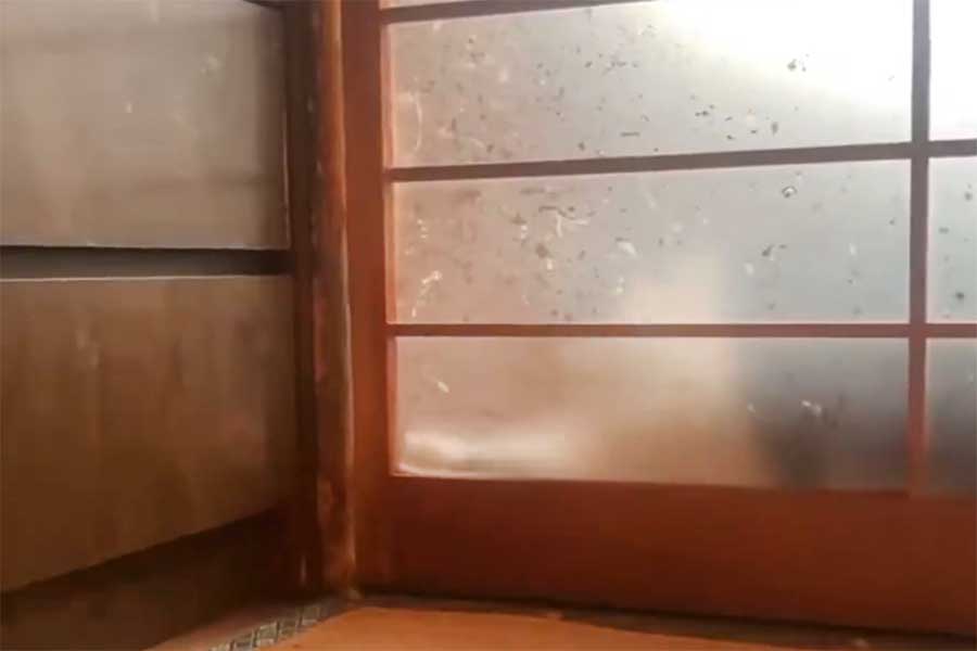 引き戸を開けようとしているイチロー男爵くん【出典：X（@hinodepictures）よりスクリーンショット】