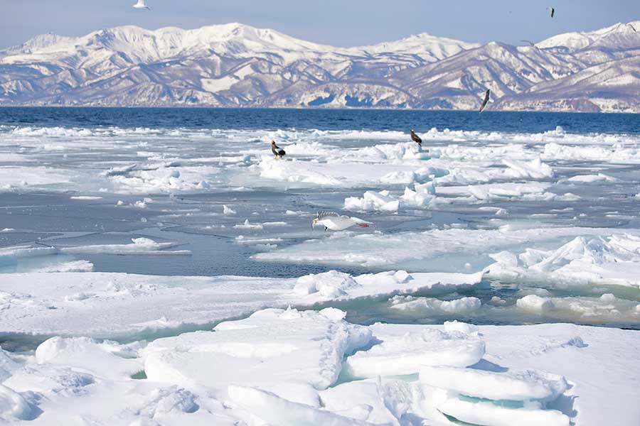 流氷が押し寄せる冬の知床【写真：PIXTA】