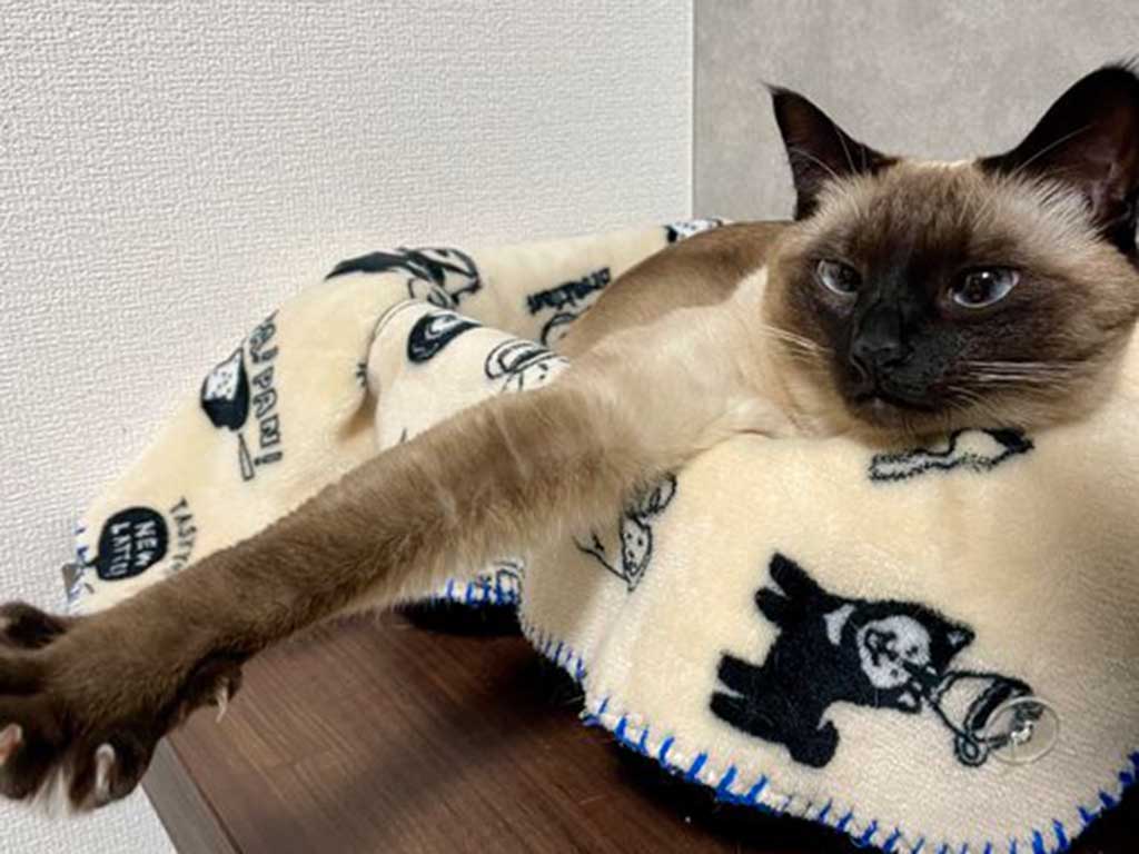 半年お風呂に入っていないすずりちゃん【写真提供：すずり（@suzu_onikuha）さん】