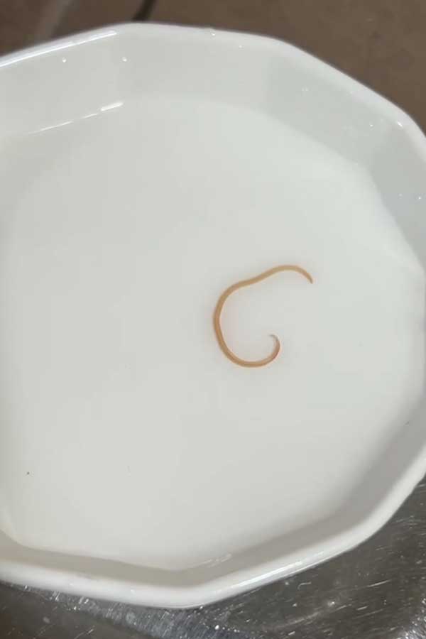 【写真提供：投稿者】