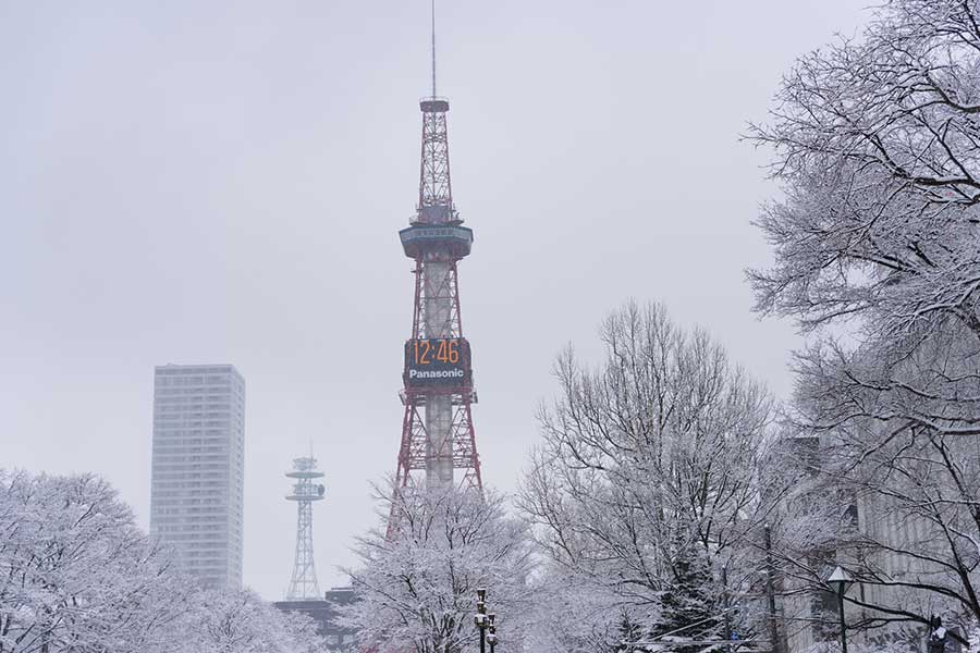 雪景色が美しい冬の札幌【写真：PIXTA】