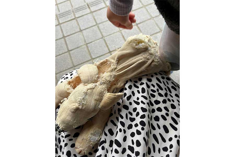 全身がほつれ、生地もすり切れたぽんちゃんの背中【写真提供：piyo_ko.09（piyo_ko.09）さん】